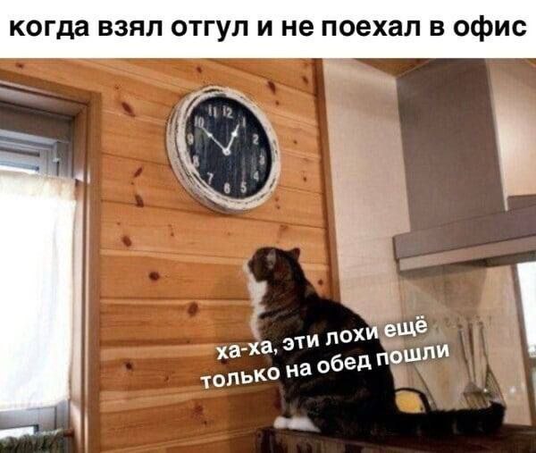 когда взял отгул и не поехал в офис и охи ещё ха-ха, только На обед пошли