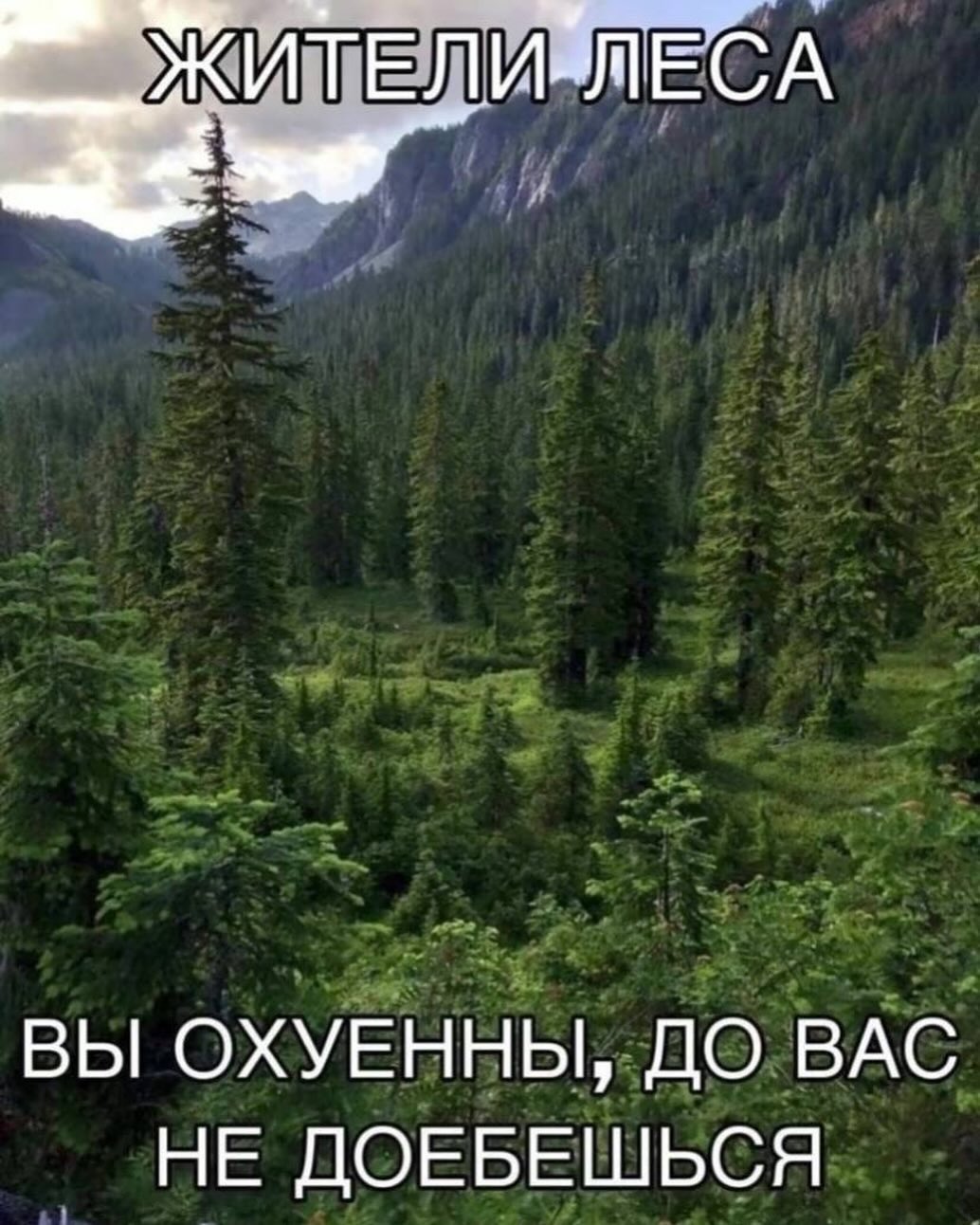 ВЫ ОХУЕННЫ, ДО ВАС НЕ ДОЕБЕШЬСЯ