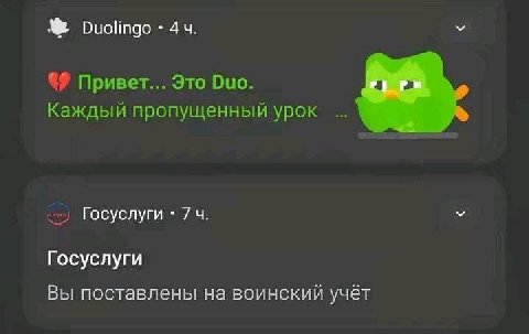 Duolingo Привет... Это Duo. Каждый пропущенный урок Госуслуги 74. Госуслуги Вы поставлены на воинский учёт