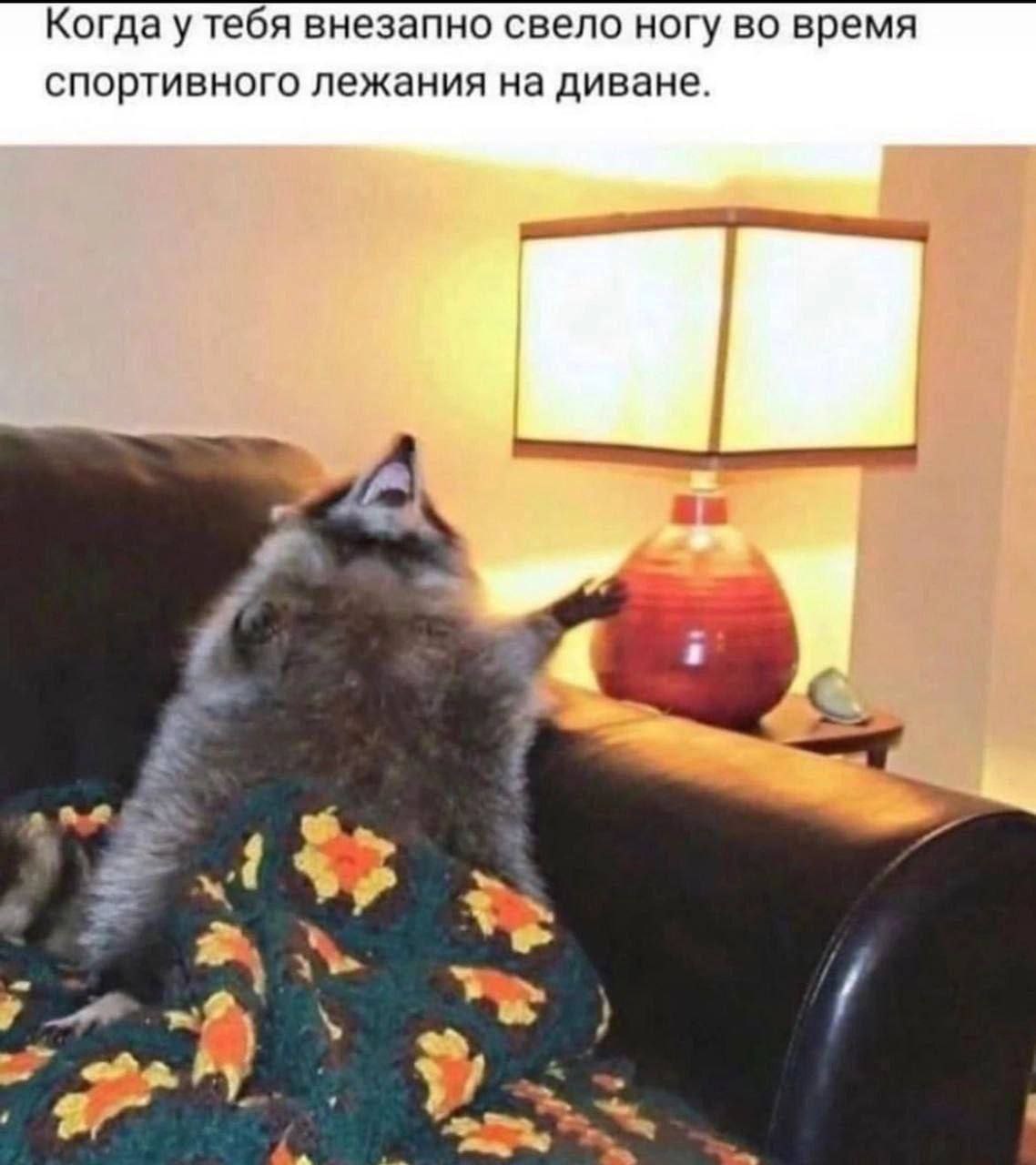 Когда у тебя внезапно свело ногу во время спортивного лежания на диване.