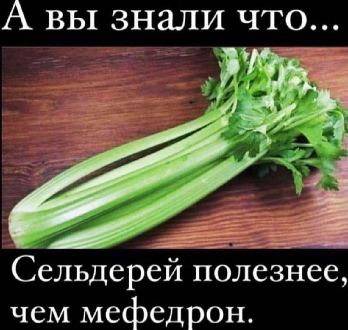 А вы знали что... Сельдерей полезнее, чем мефедрон.