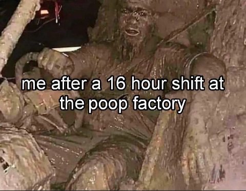 me after a 16 hour shift at the poop factory