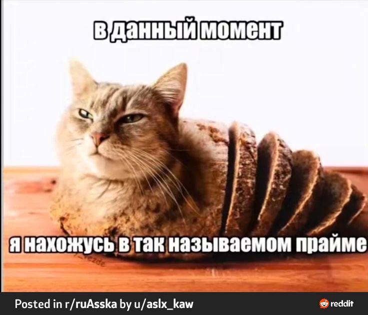 момент, янахожусь втак называемом прайме Posted in r/ruAsska kaw reddit