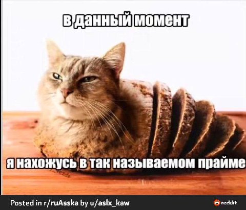 момент, янахожусь втак называемом прайме Posted in r/ruAsska kaw reddit