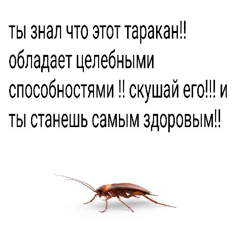 ты знал что этот таракан! обладает целебными способностями скушай ero!!! и ты станешь самым здоровым!