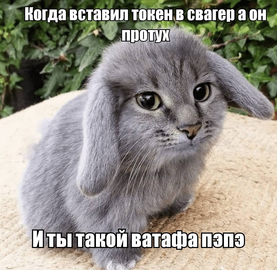 4 Когда вставил токен в свагер к 4 1 LLG if 2 phe, у 2 2 Иты такой