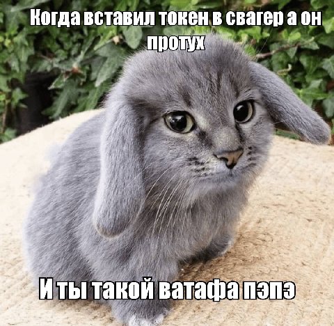 4 Когда вставил токен в свагер к 4 1 LLG if 2 phe, у 2 2 Иты такой