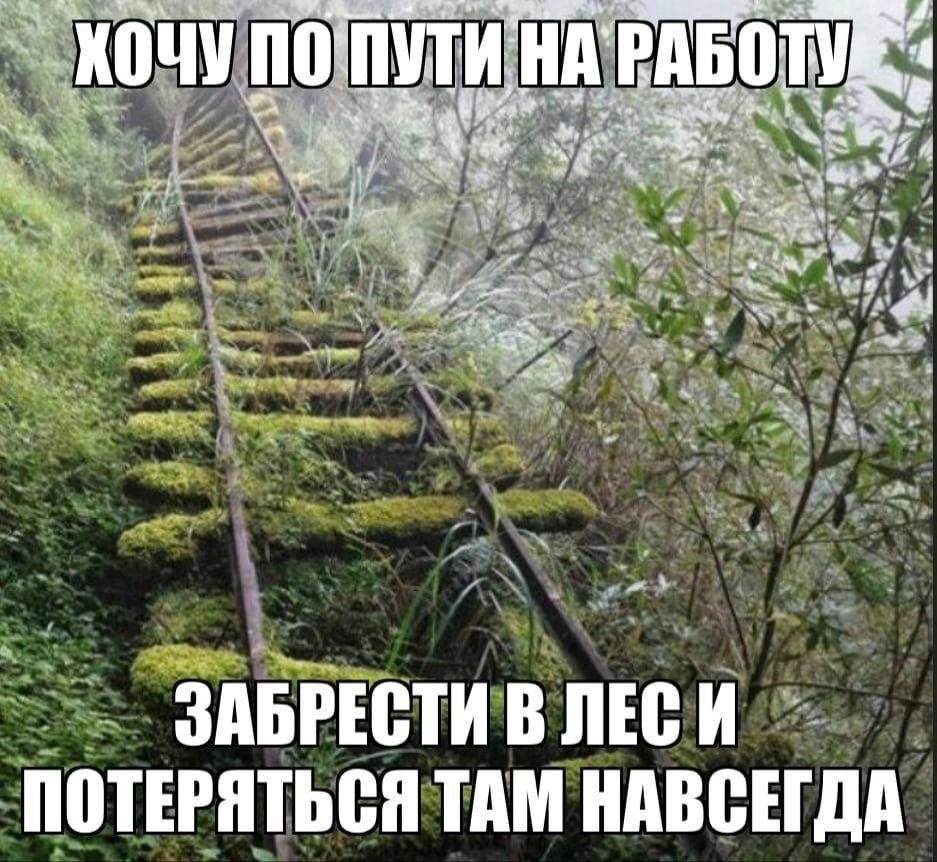 att 4. ХОЧУ РАБОТУ a a fon ЗАБРЕСТИ В ЛЕСИ ПОТЕРЯТЬСЯ ТАМ НАВСЕГДА