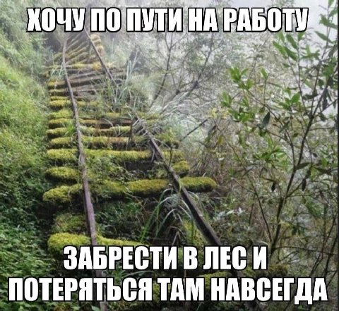 att 4. ХОЧУ РАБОТУ a a fon ЗАБРЕСТИ В ЛЕСИ ПОТЕРЯТЬСЯ ТАМ НАВСЕГДА