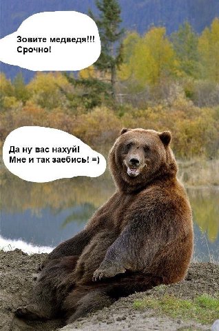 Зовите медведя!!! Срочно! Да ну вас нахуй! Мне и так заебись!