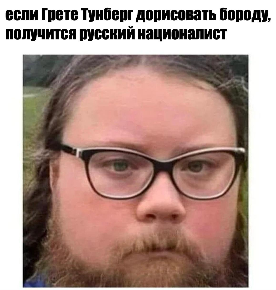 если [pete Тунберг дорисовать бороду, получится русский националист