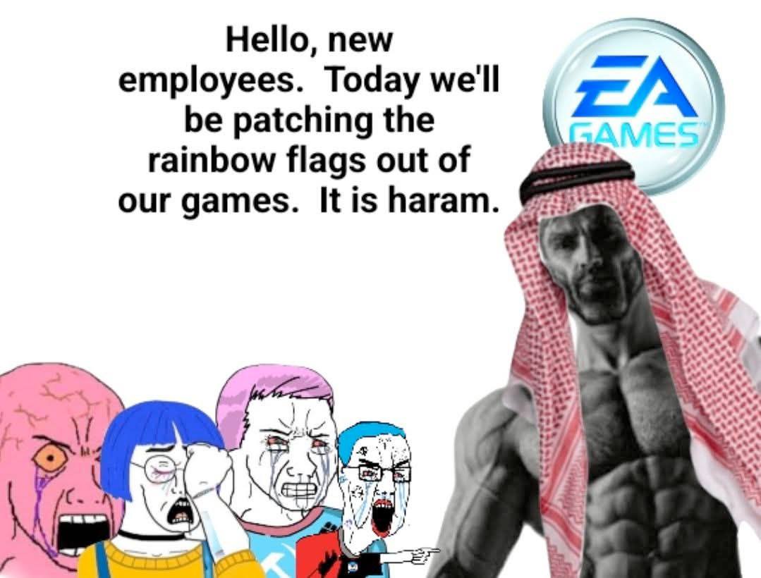 Hello, new employees. Today we'll be patching the rainbow flags outof our games. It is haram. 2