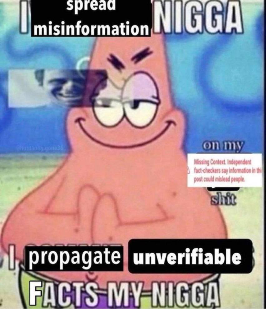 spread misinformation NIGGA’ №4. fact-chechers say in propagate unverifiable FACTS MY NIGGA