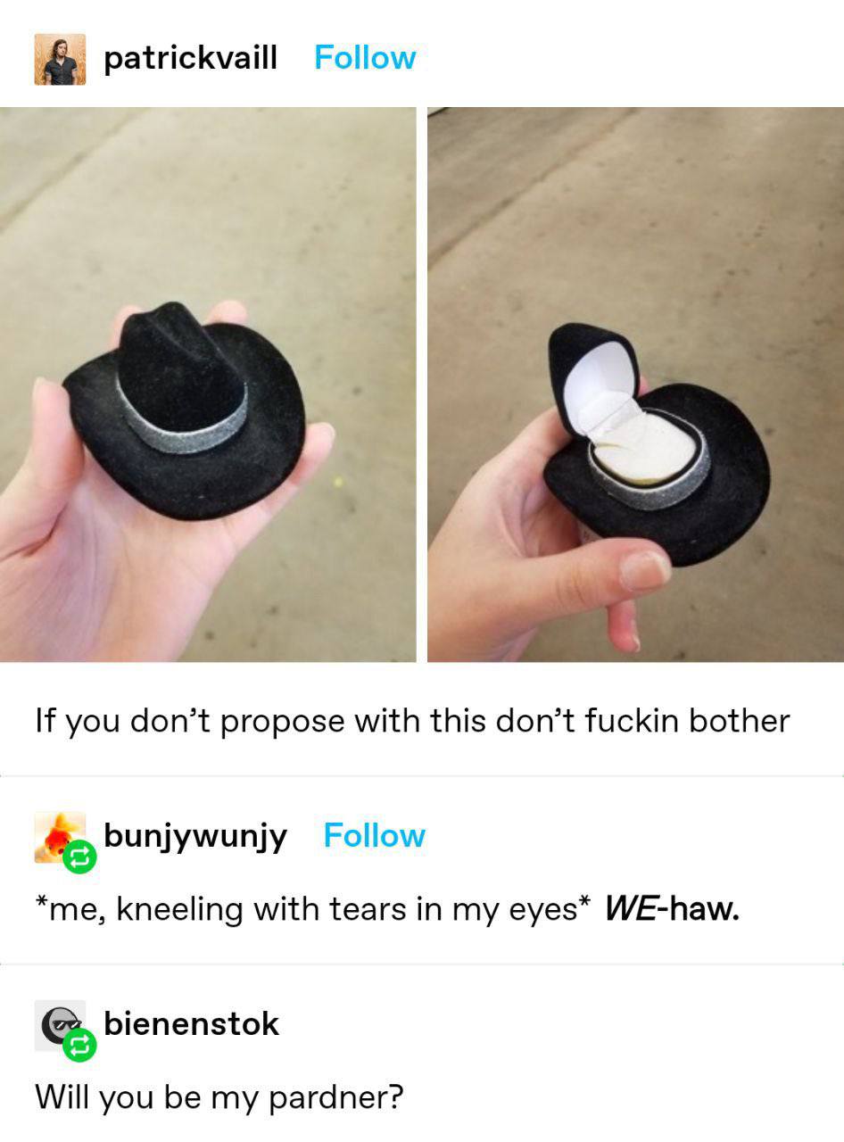 patrickvaill Follow If you don’t propose with this don’t fuckin bother bunjywunjy Follow *me, kneeling with tears in my eyes* WE-haw. bienenstok Will you be my pardner?