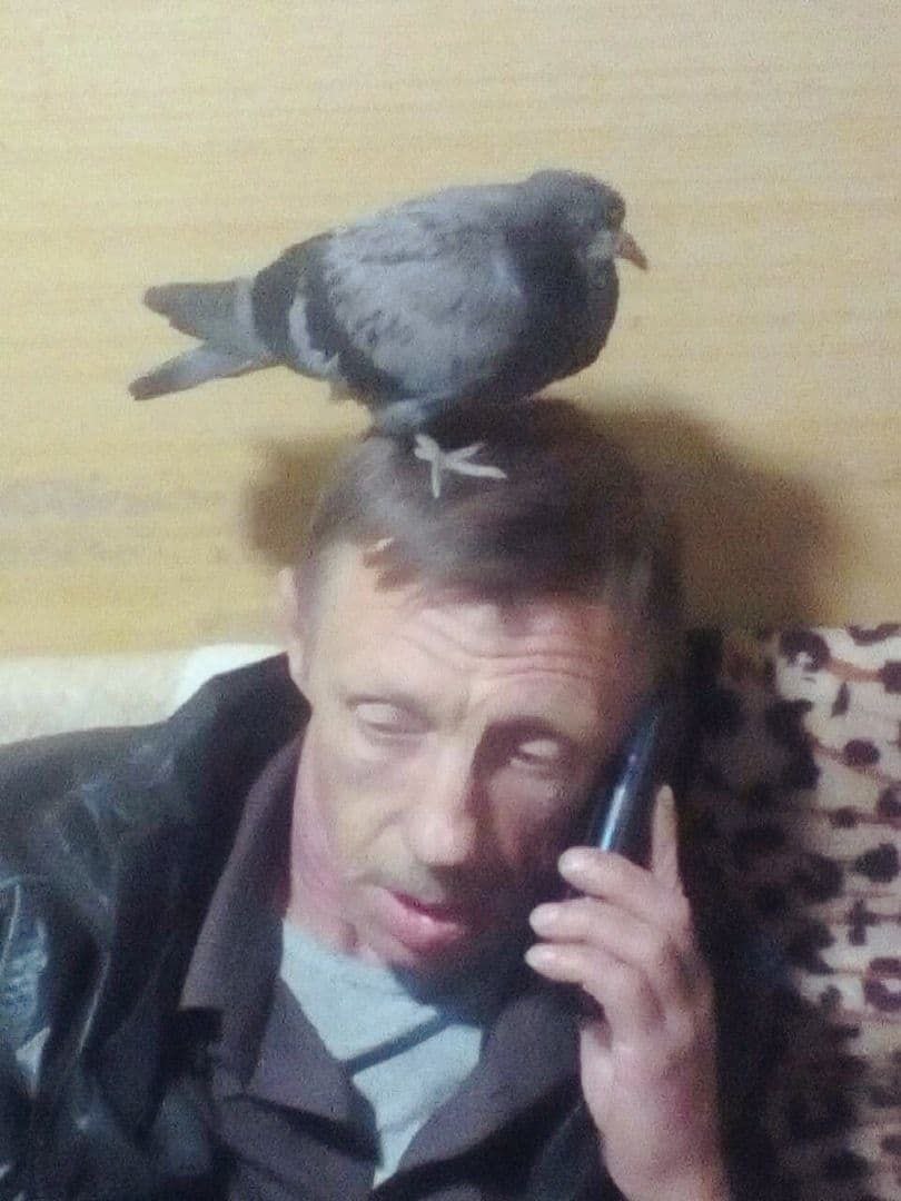 4 #7 у 4 у к 4