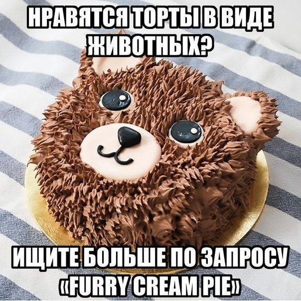 от 24 и“ a\ я ИЩИТ БОЛЬШЕ А, (FURRY CREAM iPIE)