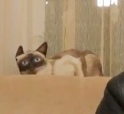 у
