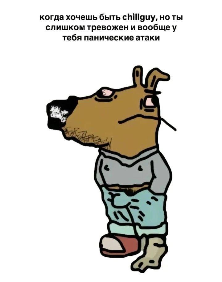 когда хочешь быть Chillguy, но ты слишком тревожен и вообщеу тебя панические атаки
