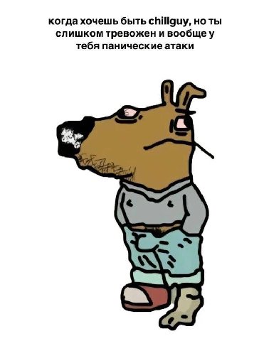 когда хочешь быть Chillguy, но ты слишком тревожен и вообщеу тебя панические атаки
