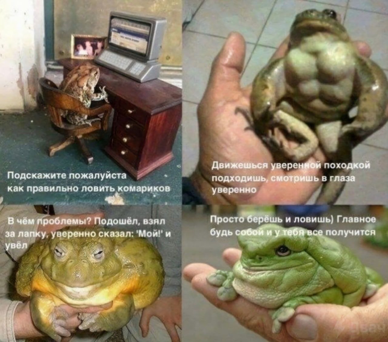 К Движешься походкой Подскажите пожалуйста подходишь, смотришь в глаза как правильно ловить комариков уверенно В чём проблемы? Подошел, взял Просто верёшь и ловишь} Главное за лапку. уверенно сказал: 