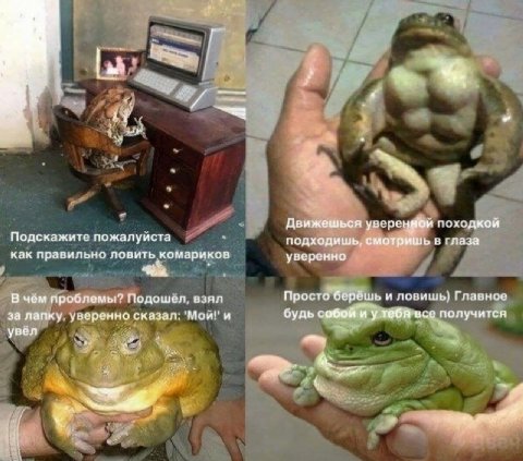 К Движешься походкой Подскажите пожалуйста подходишь, смотришь в глаза как правильно ловить комариков уверенно В чём проблемы? Подошел, взял Просто верёшь и ловишь} Главное за лапку. уверенно сказал: 