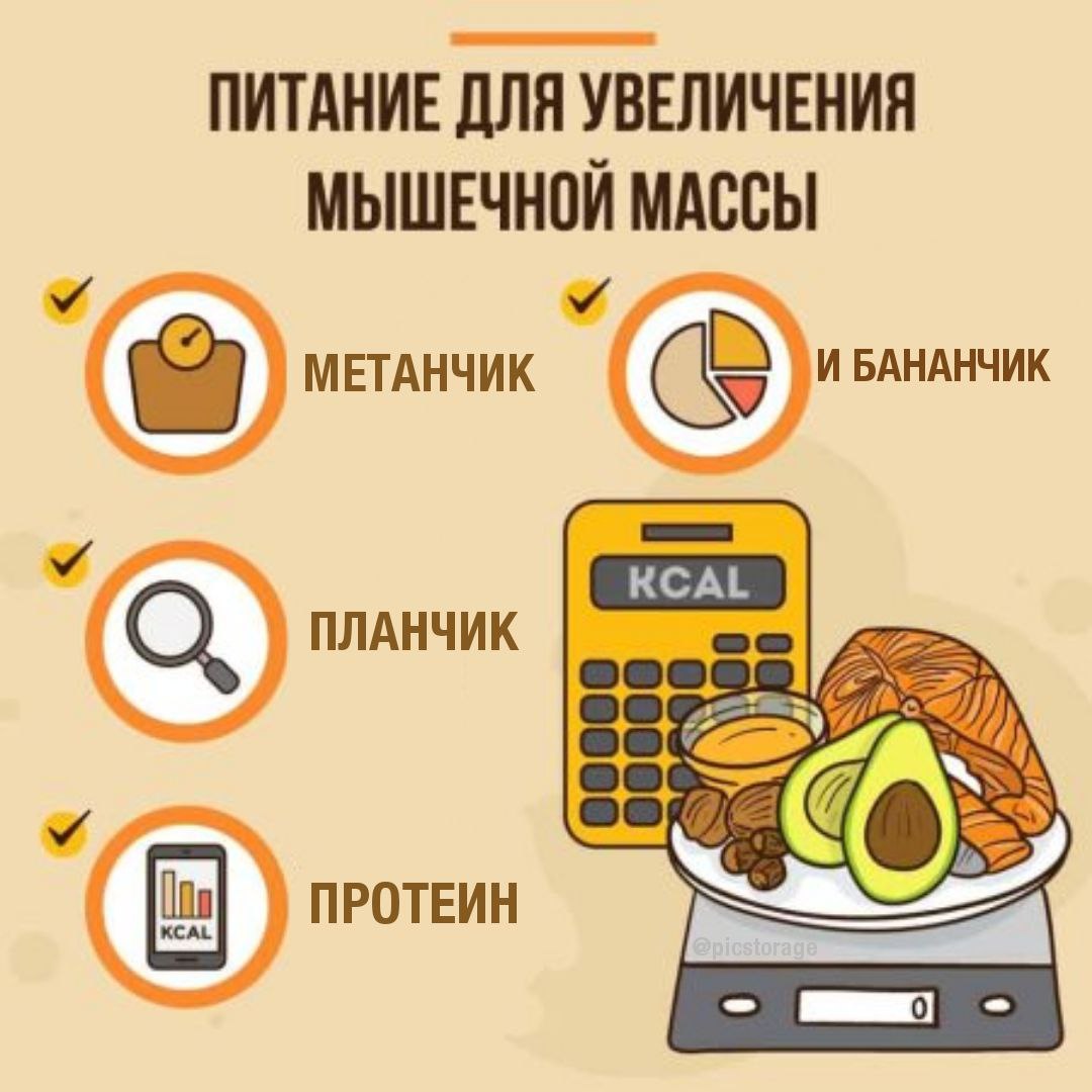ПИТАНИЕ ДЛЯ УВЕЛИЧЕНИЯ МЫШЕЧНОЙ МАССЫ \И БАНАНЧИК KCAL О, ПЛАНЧИК 4 ПРОТЕИН