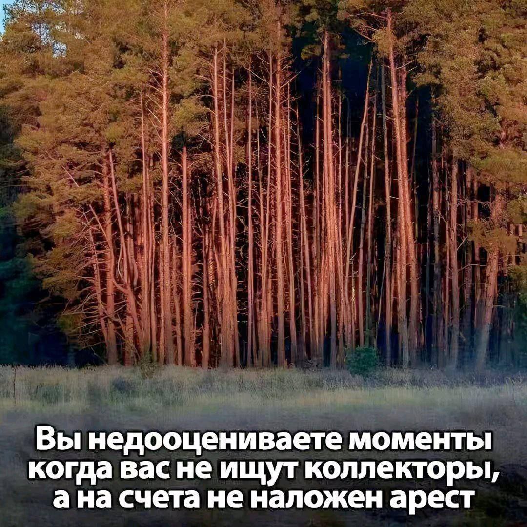 Вы недооцениваете моменты когда васне ищут коллекторы, ана счета не наложен арест