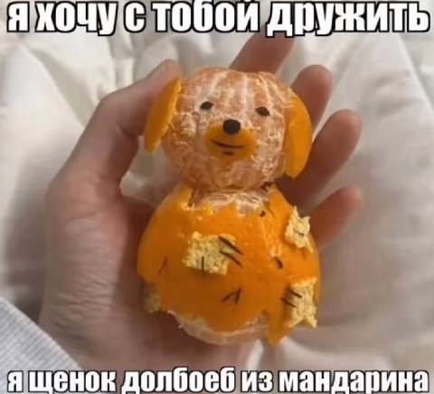 я TOUOK Дружить: ‚ященок долбоеб из мандарина