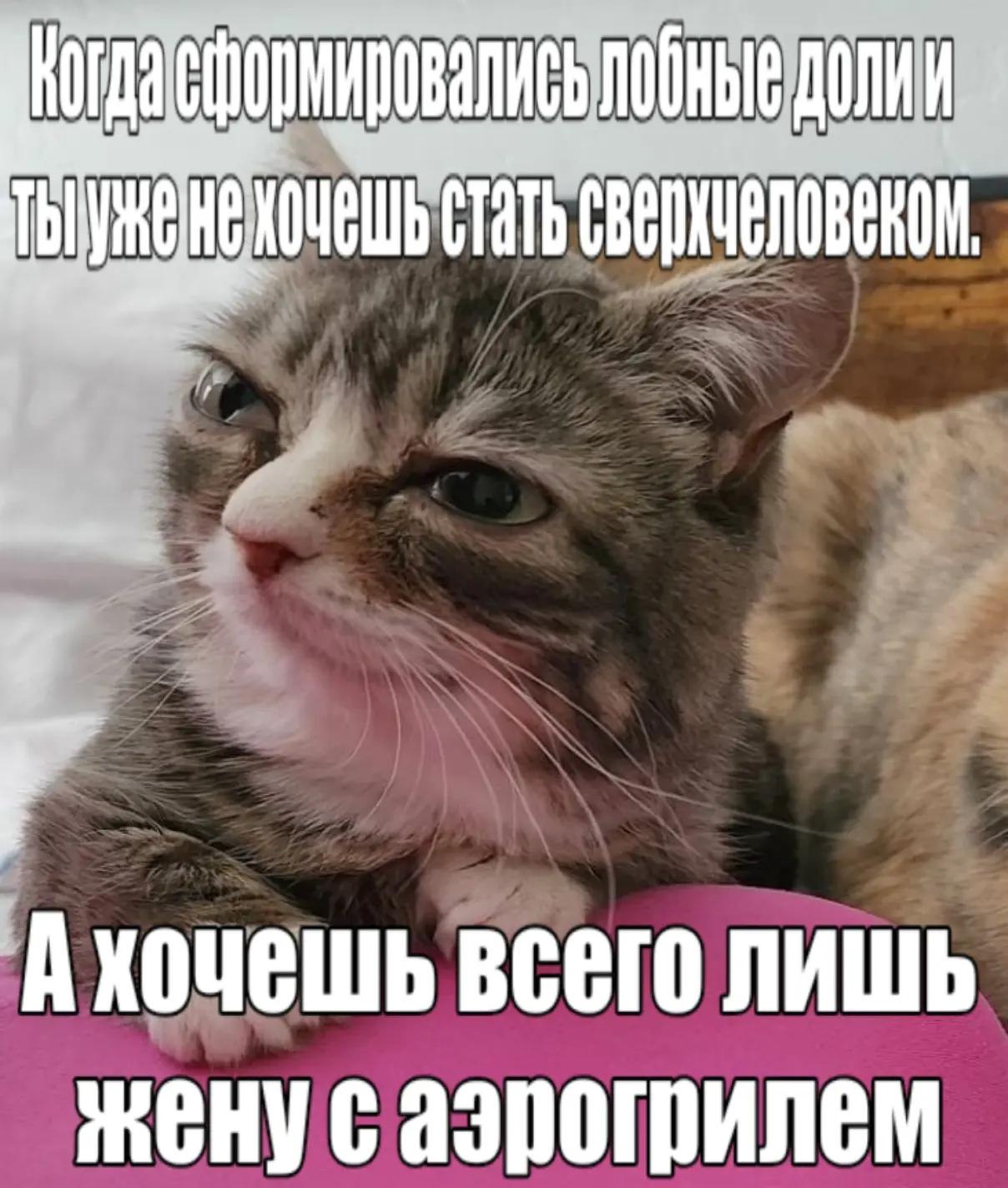 лобные долии Ахочешь всего лишь женусаэрогрилем