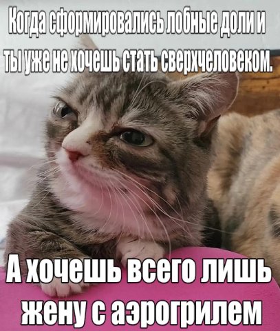 лобные долии Ахочешь всего лишь женусаэрогрилем