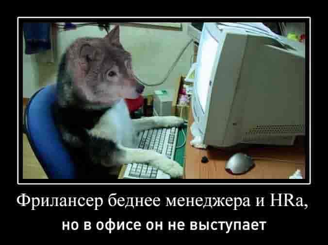 A Фрилансер беднее менеджера и НКа, но вофисе он не выступает