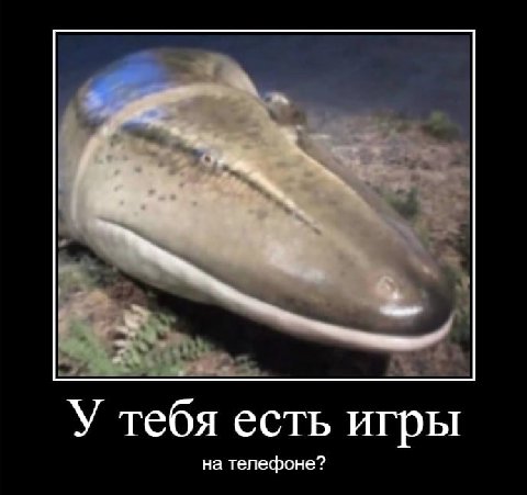 У тебя есть игры на телефоне?