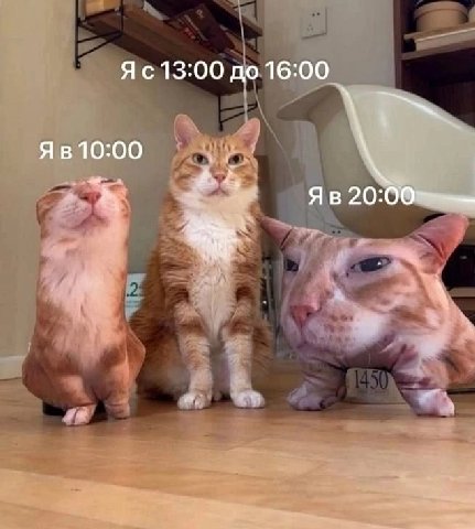 9 13:00 16:00
