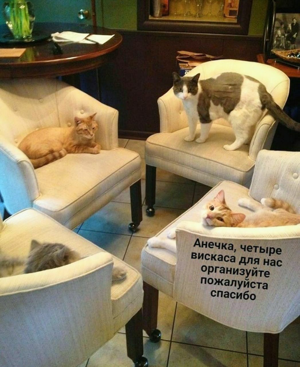 у Анечка, четыре Вискаса для нас. организуйте пожалуйста 4 спасибо