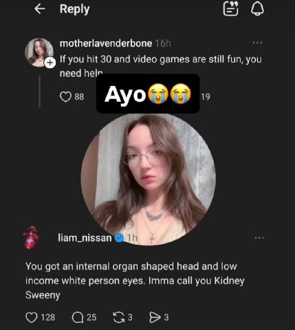 Reply motherlavenderbone 3 If you hit 30 and video games are still fun, you need helr Oss Ауо®® 19 liam_nissan You got an internal organ shaped head and low income white person eyes. Imma call you Kid
