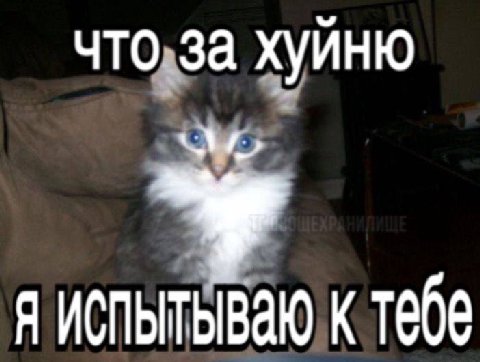 что.за хуйню Я ИСПЫТЫВАЮ К тебе
