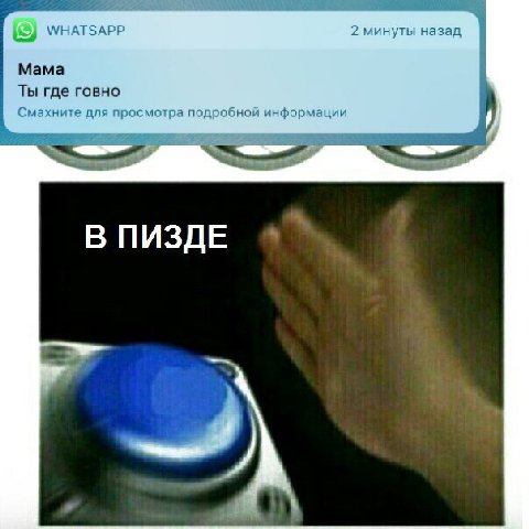 WHATSAPP 2 минуты назад Мама Ты где говно Смахните для просмотра подробной информации В ПИЗДЕ