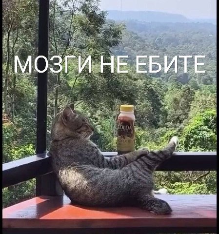 _МОЗГИ НЕ ЕБИТЕ