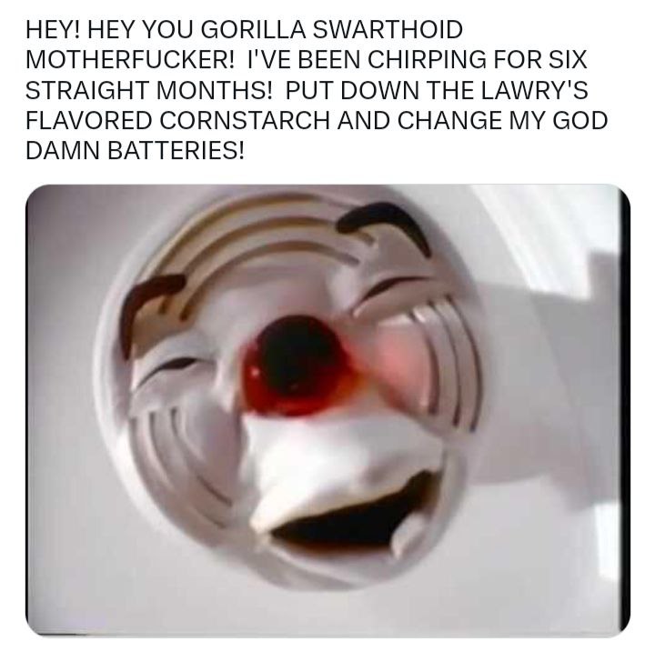 HEY! HEY YOU GORILLA SWARTHOID MOTHERFUCKER! I'VE BEEN CHIRPING FOR SIX STRAIGHT MONTHS! PUT DOWN THE LAWRY'S FLAVORED CORNSTARCH AND CHANGE MY GOD DAMN BATTERIES!