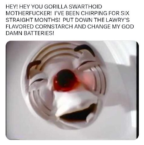 HEY! HEY YOU GORILLA SWARTHOID MOTHERFUCKER! I'VE BEEN CHIRPING FOR SIX STRAIGHT MONTHS! PUT DOWN THE LAWRY'S FLAVORED CORNSTARCH AND CHANGE MY GOD DAMN BATTERIES!