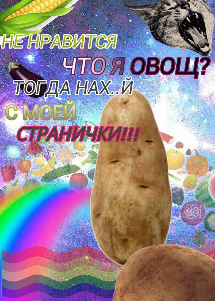 or ТОГДА 7 у a