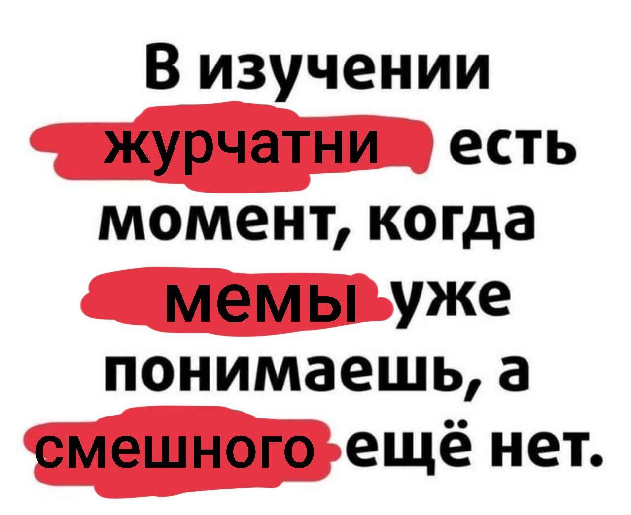 В изучении журчатни есть момент, когда мемы уже понимаешь, а ещё нет.
