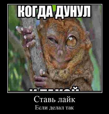 КОГДА ДУНУЛ Ставь лайк Если делал так