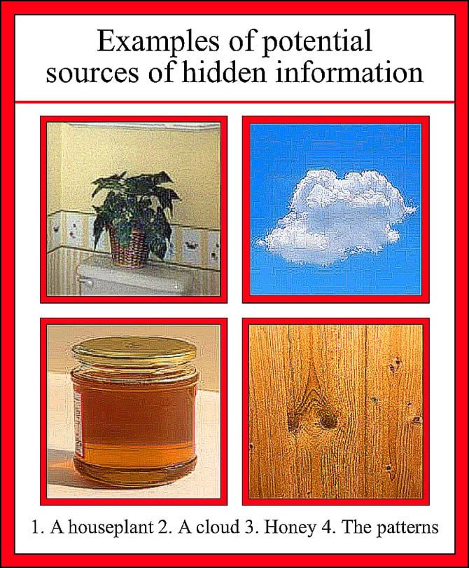 Examples of potential sources of hidden information a 1. Ahouseplant 2. A cloud 3. Honey 4. The patterns