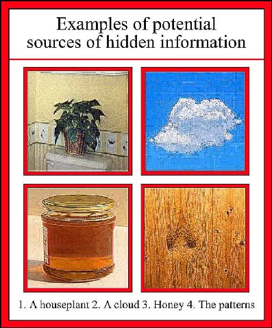 Examples of potential sources of hidden information a 1. Ahouseplant 2. A cloud 3. Honey 4. The patterns