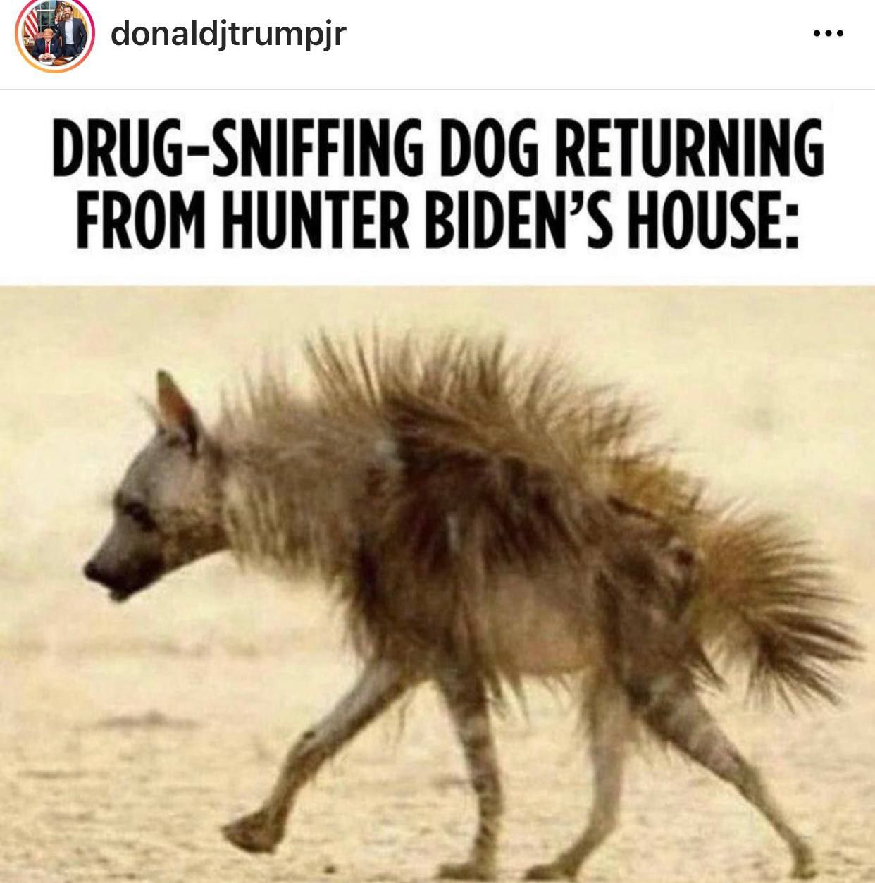 donaldjtrumpjr DRUG-SNIFFING DOG RETURNING FROM HUNTER BIDEN’S HOUSE: