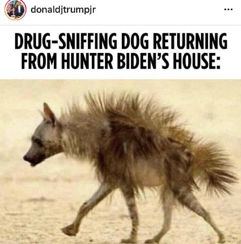 donaldjtrumpjr DRUG-SNIFFING DOG RETURNING FROM HUNTER BIDEN’S HOUSE: