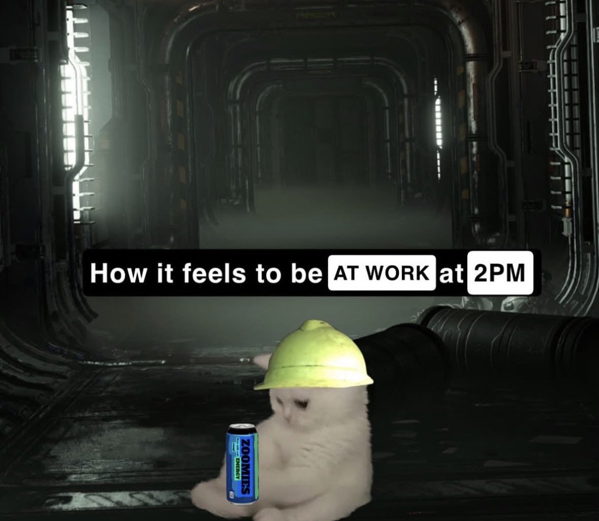 How it feels to be WORK