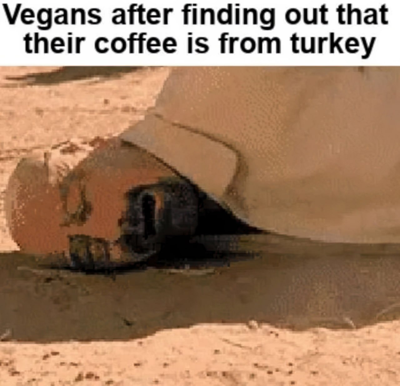 Vegans after finding out that their coffee is from turkey