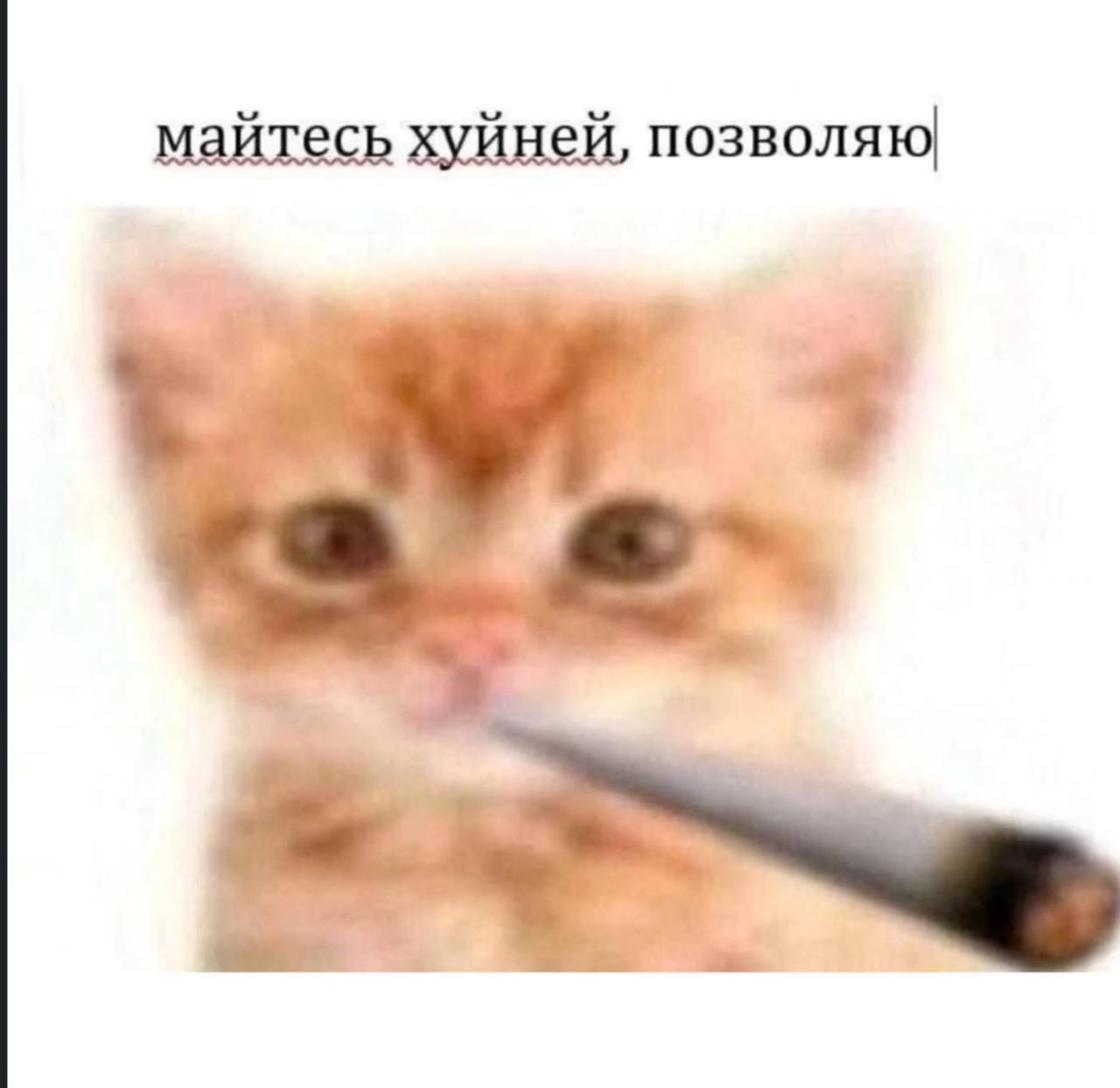 майтесь хуйней, позволяю в